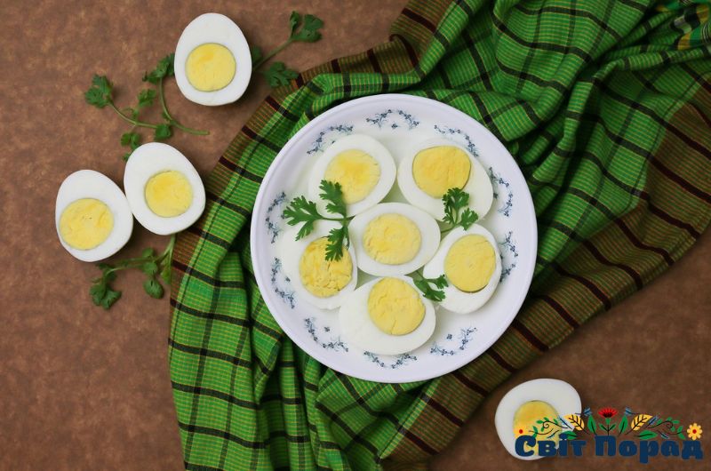Скільки варити яйця курячі